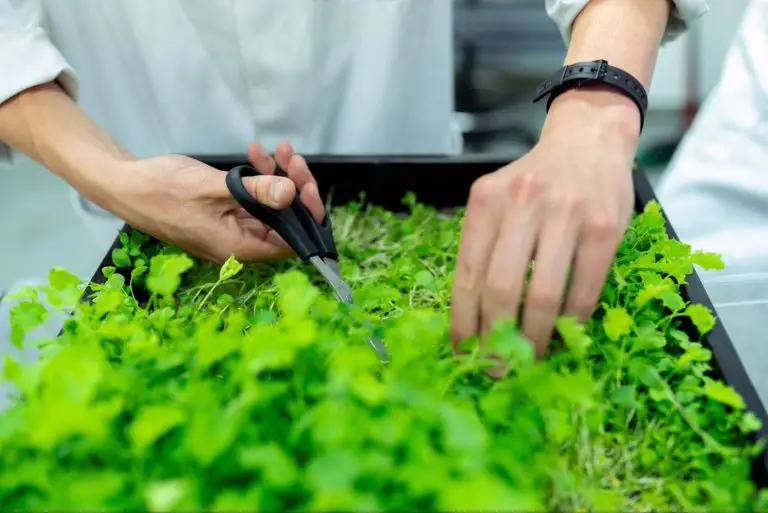 Highest Paying Jobs In Agriculture