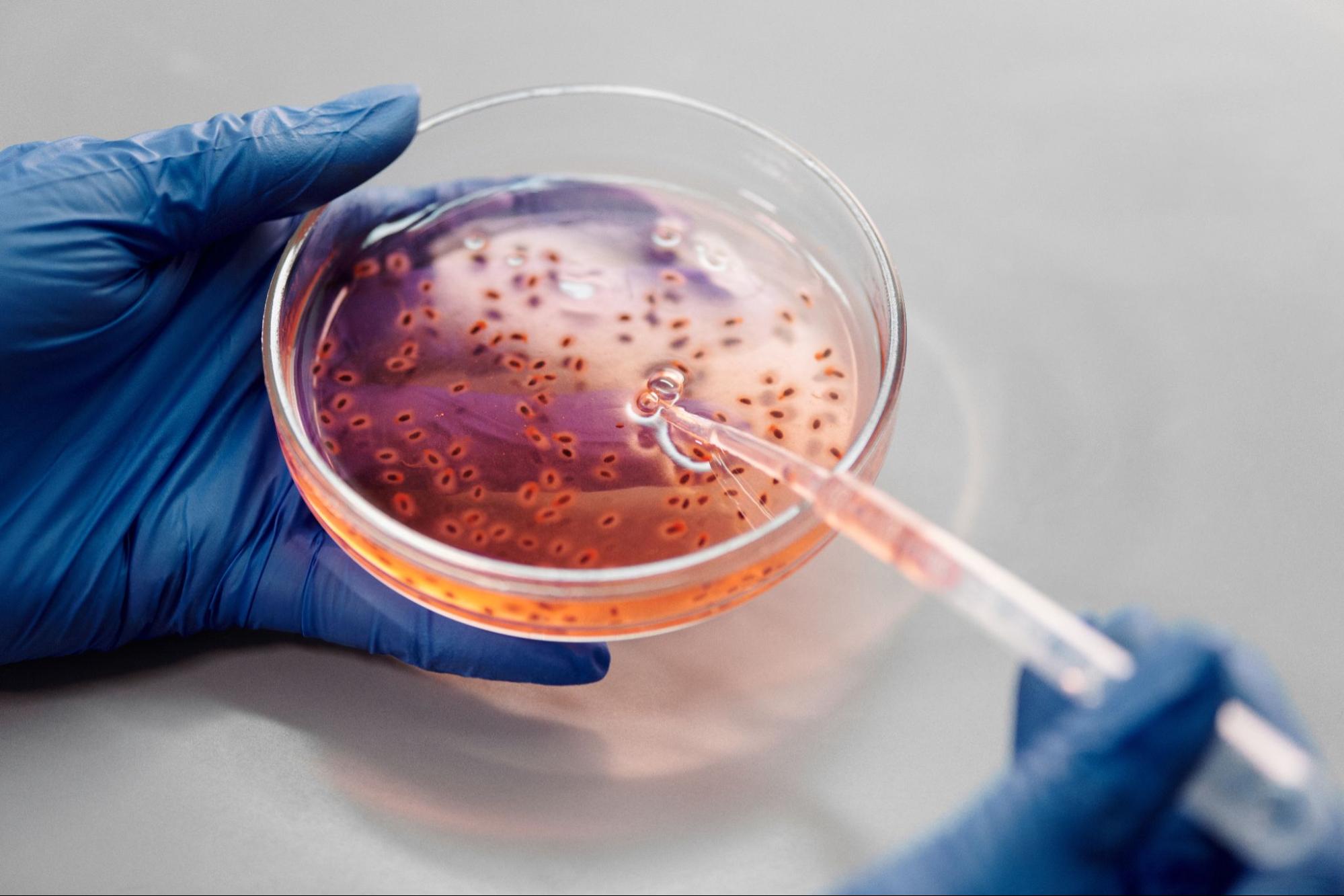 10 Highest Paying Microbiology Jobs to Consider 2024