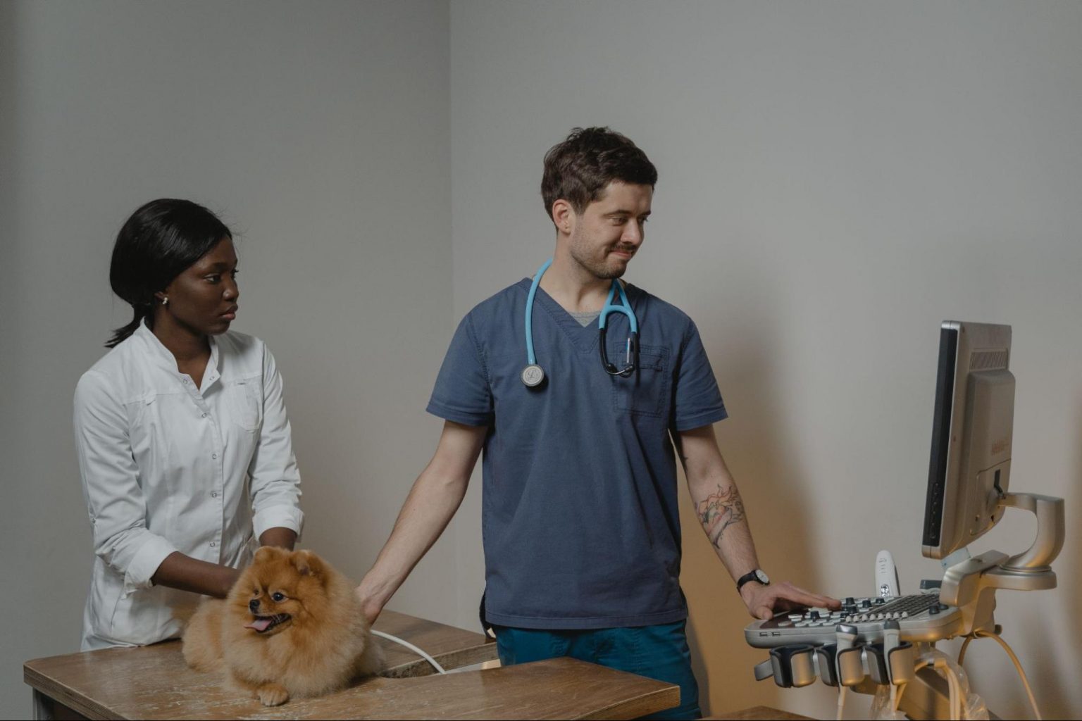 10-highest-paying-veterinary-jobs-to-consider-2023