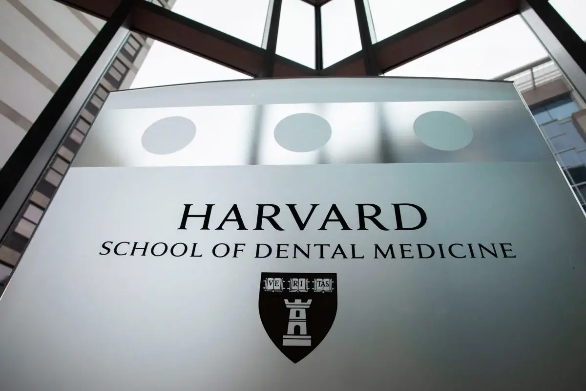 25 Best Dental Schools In The US 2024